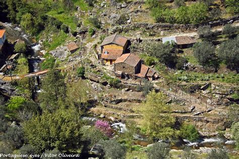 Armamar took a long time, but on april 8 he joined the nation of portugal. Armamar - Portugal | Vitor Oliveira | Flickr