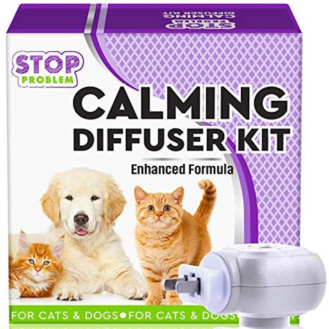 Cyproheptadine what are the possible side effects of cyproheptadine (periactin)? Best Diffusers For Cats - Take To Home