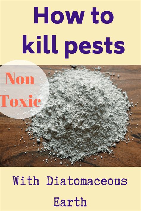 When shopping for de, look for the food grade quality. How to Use Diatomaceous Earth: All You Need to Know ...