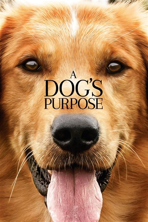 A Dogs Purpose 2017 Full Movie Watch Online Free On Teatv