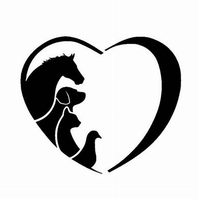 Animal Lover Horse Pet Veterinarian Decal Stickers