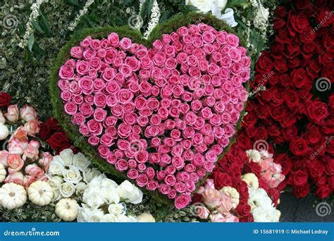 Red Rose Heart Shape Royalty Free Stock Images Image 15681919