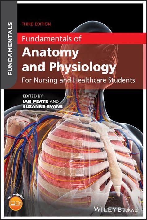 Pdf Fundamentals Of Anatomy And Physiology By Ian Peate Ebook Perlego