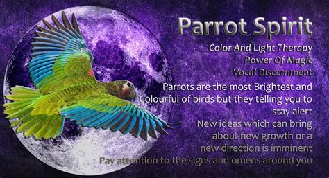 Parrot Spirit Animal Spirit Guides Spirit Animal Meaning Animal
