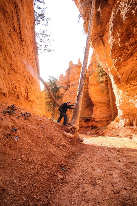 Hiking Navajo Loop And Queens Garden Trail In Bryce Canyon National Park