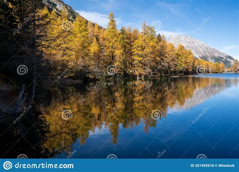 Landscape Of A Lake Surrounded By Trees Under A Blue Sky And Sunlight