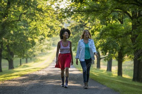 Two Women Walking Along Avenue Of Trees Stock Image F0086438 Science Photo Library