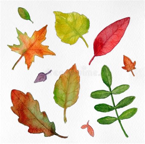 Isolated Watercolor Autumn Leaves Set Stock Illustration