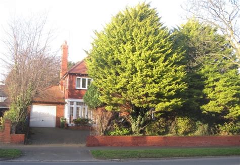 Make the first cut step 4: Ways to Add Instant Curb Appeal - Reliable Remodeler