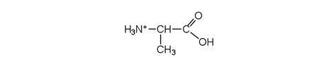 182 Reactions Of Amino Acids Chemistry Libretexts