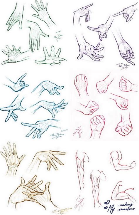 My Anatomy Practice By Roxaralu On Deviantart Hand Drawing Reference
