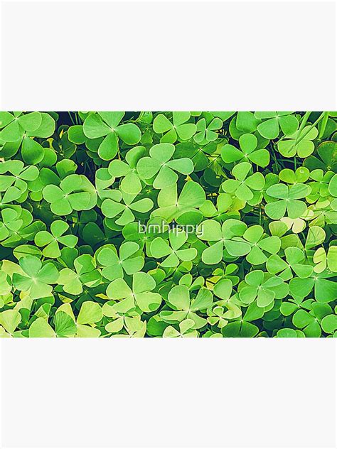 Field Full Of Four Leaf Clovers Lucky Sticker By Bmhippy Redbubble