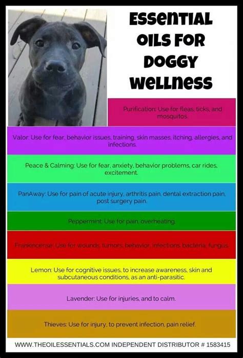 Essential oils & pets by: 54 best ideas about DoTerra for Dogs on Pinterest | For ...
