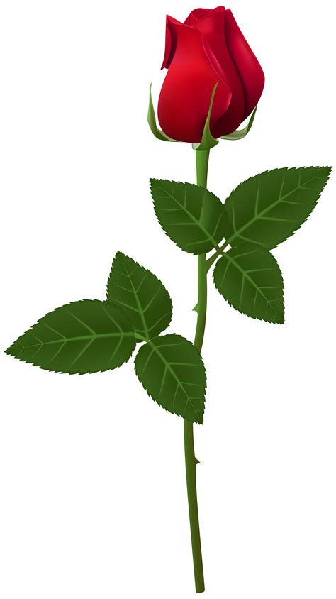 Rose Png Transparent Clip Art Image Gallery Yopriceville High