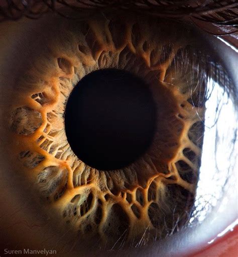 21 Extreme Close Ups Of The Human Eye Human Eye Photos Of Eyes Eye