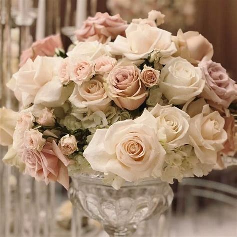 7 Stunning Nude Colored Roses Article OnThursd