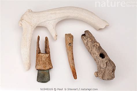 Neolithic Period Tools