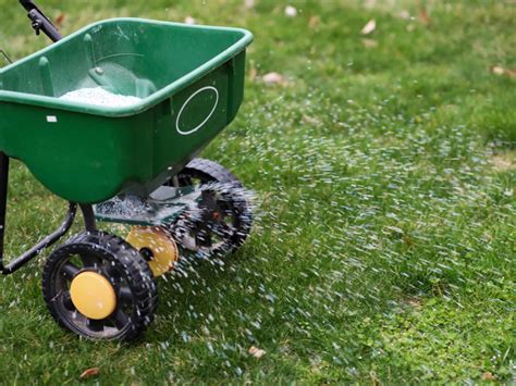 Fall Lawn Fertilizer Deals Online Save 44 Jlcatjgobmx