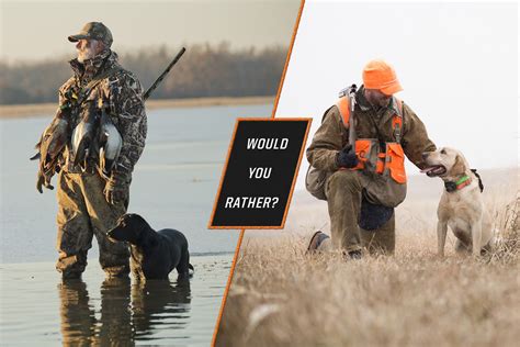 Upland Or Waterfowl Hunting Fishing Waterfowl Would You Rather