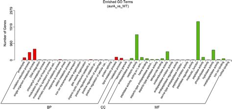 Gene Ontology Go Enrichment Analysis For Differentially Expressed