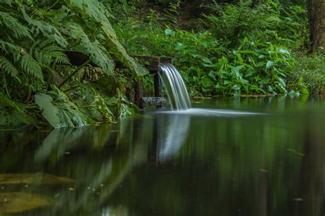 Free Images Forest Waterfall Sunlight River Stream Reflection