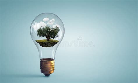 Tree Growing Inside Light Bulb Stock Illustration Illustration Of