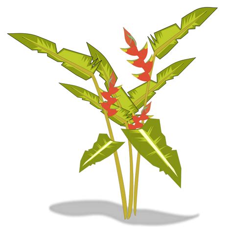 Tropical Plants Cartoon Clipart Best