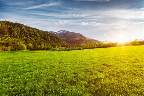 Alpine Meadow In Bavaria Germany Stock Image Image Of Europe Serene