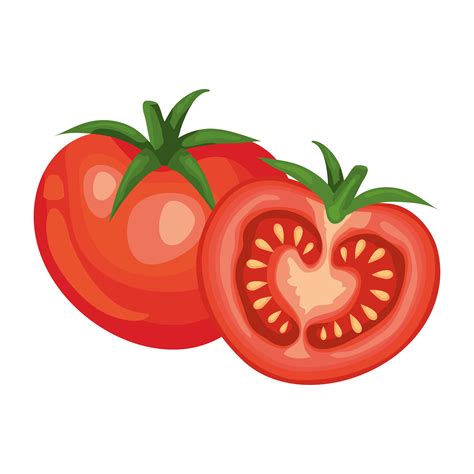 Tomato Vector Art Icons And Graphics For Free Download