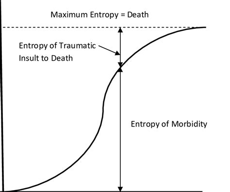 Schematic Of The Entropy Of Life Curve Download Scientific Diagram