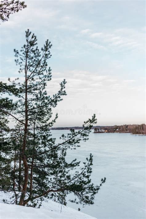 Finland Spring By A Calm Lake Stock Photo Image Of Calm Trees 34519506