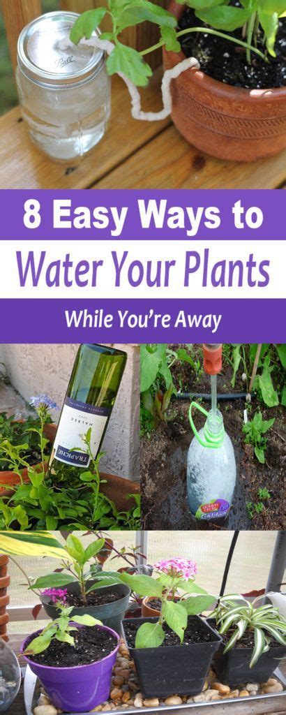 How To Water Plants While Youre Away Organic Gardening Self