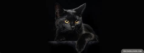 Black Cat Facebook Cover