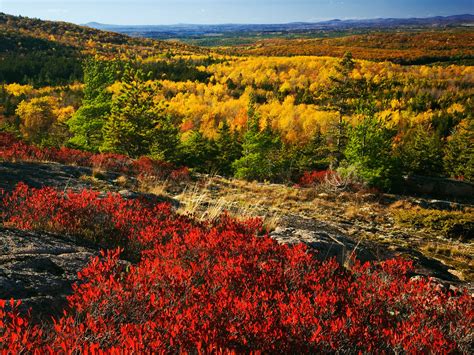 The Best Fall Foliage Drives In New England And Canada