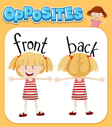 Opposite Words For Front And Back Stock Vector Illustration Of Vector