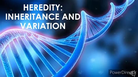 Heredity Inheritance And Variation Science 9 Quarter 1 Module 2