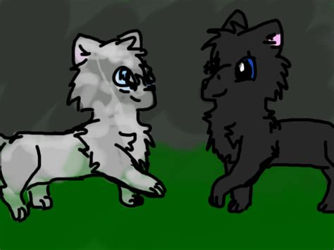 Feathertail And Crowfeather By Tropicalprimate On Deviantart