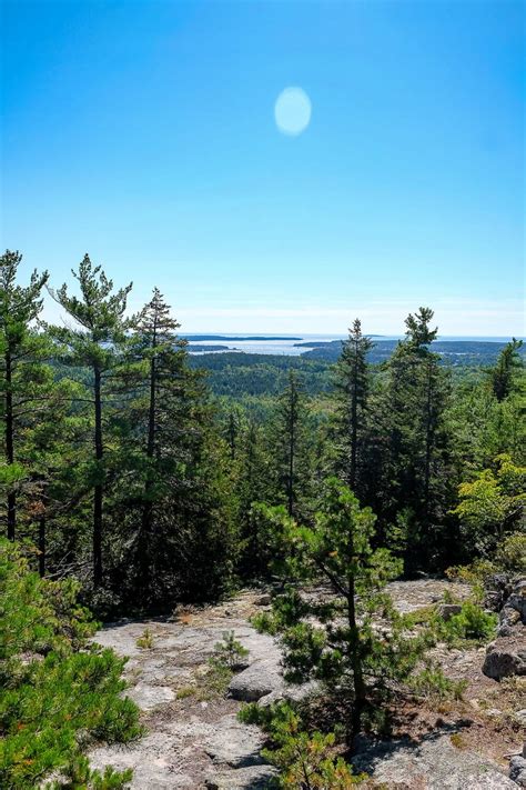Hike The Beech Cliff Trail In Acadia National Park