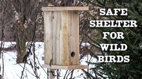 Winter Roost Or Shelter For Wild Birds How To Make Your Own Chickadee