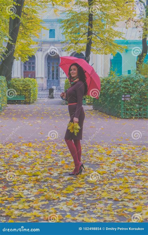 In The Park Attractive Girl With An Umbrella And Leaves In Autumn Stock