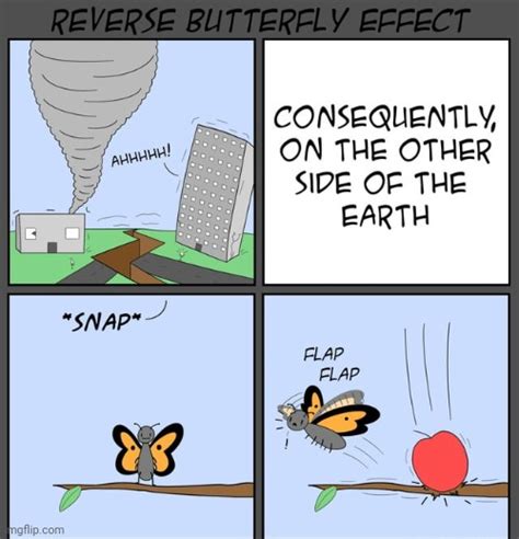 Reverse Butterfly Effect Imgflip