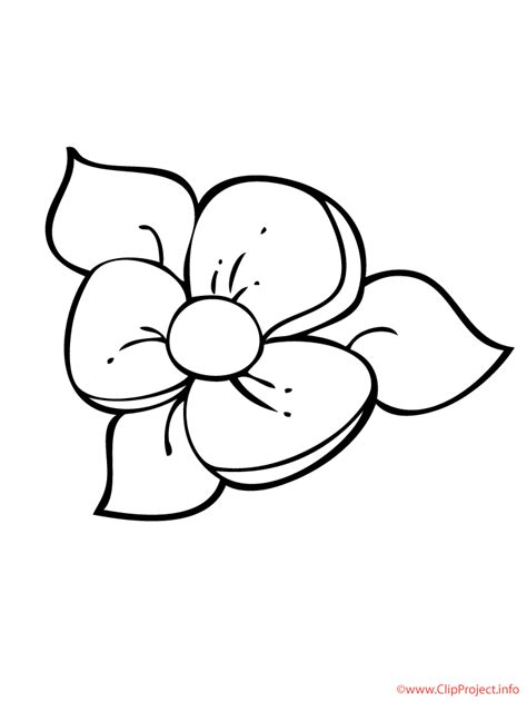 Hase vorlage osterhase vorlage pdf zum ausdrucken. Blume Window Color Vorlage | Malvorlagen blumen, Blumenschablone, Schrift karten