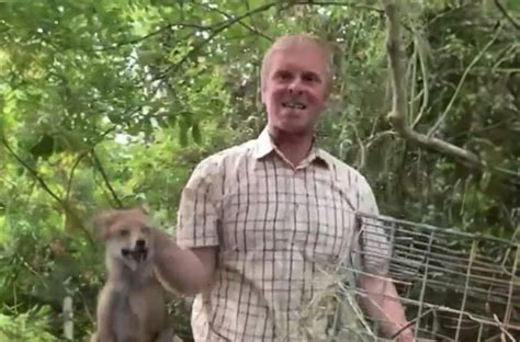 Sadistic Huntsman Baited Petrified Fox Cub In Wiltshire Countryside