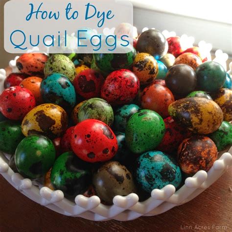 And not only odds and ends or manual achievements like trash. Linn Acres Farm: How to Dye Quail Eggs