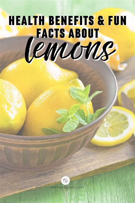 Fun Facts About Lemons How To Store Lemons The Fresh Cooky