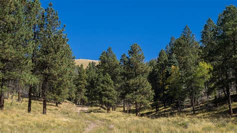 Meanderthals Trail 12 At Valles Caldera National Preserve New Mexico