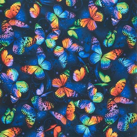 Many Colorful Butterflies Are Flying In The Sky