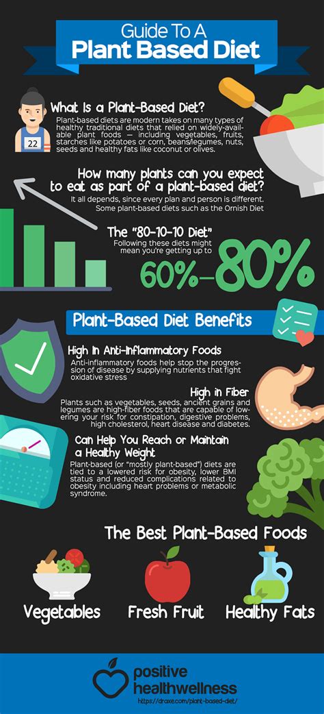 Guide To A Plant Based Diet Infographic