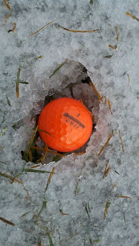 If you were looking for the article about the location in patrick's coupon, then see ice cream (patrick's coupon). Ice golf another name for snowgolf... Snowgolf.net | Golf ...