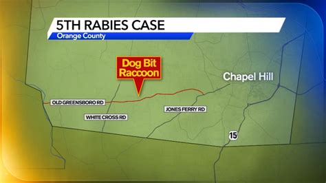 5th Case Of Rabies Confirmed In Orange County In 2019 Abc11 Raleigh